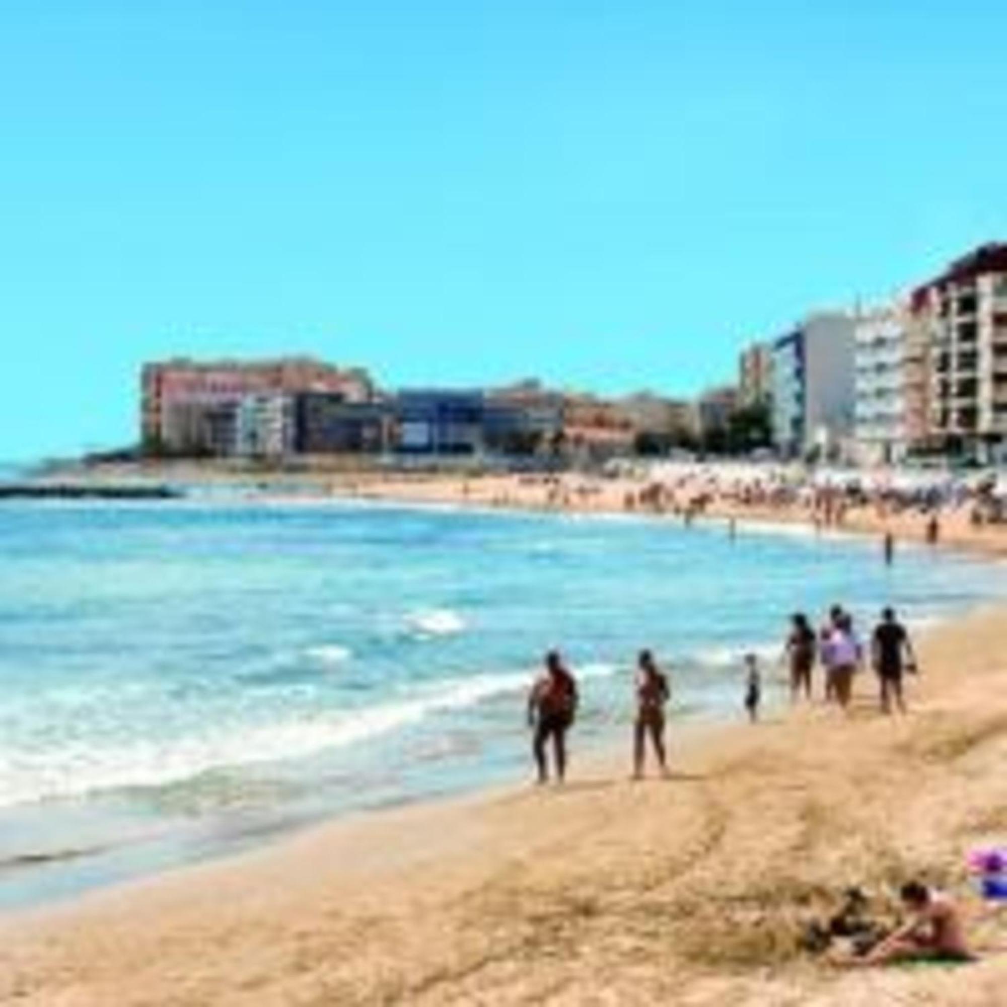 Pmt16 - Large City Apartment On The Beach Torrevieja Eksteriør bilde