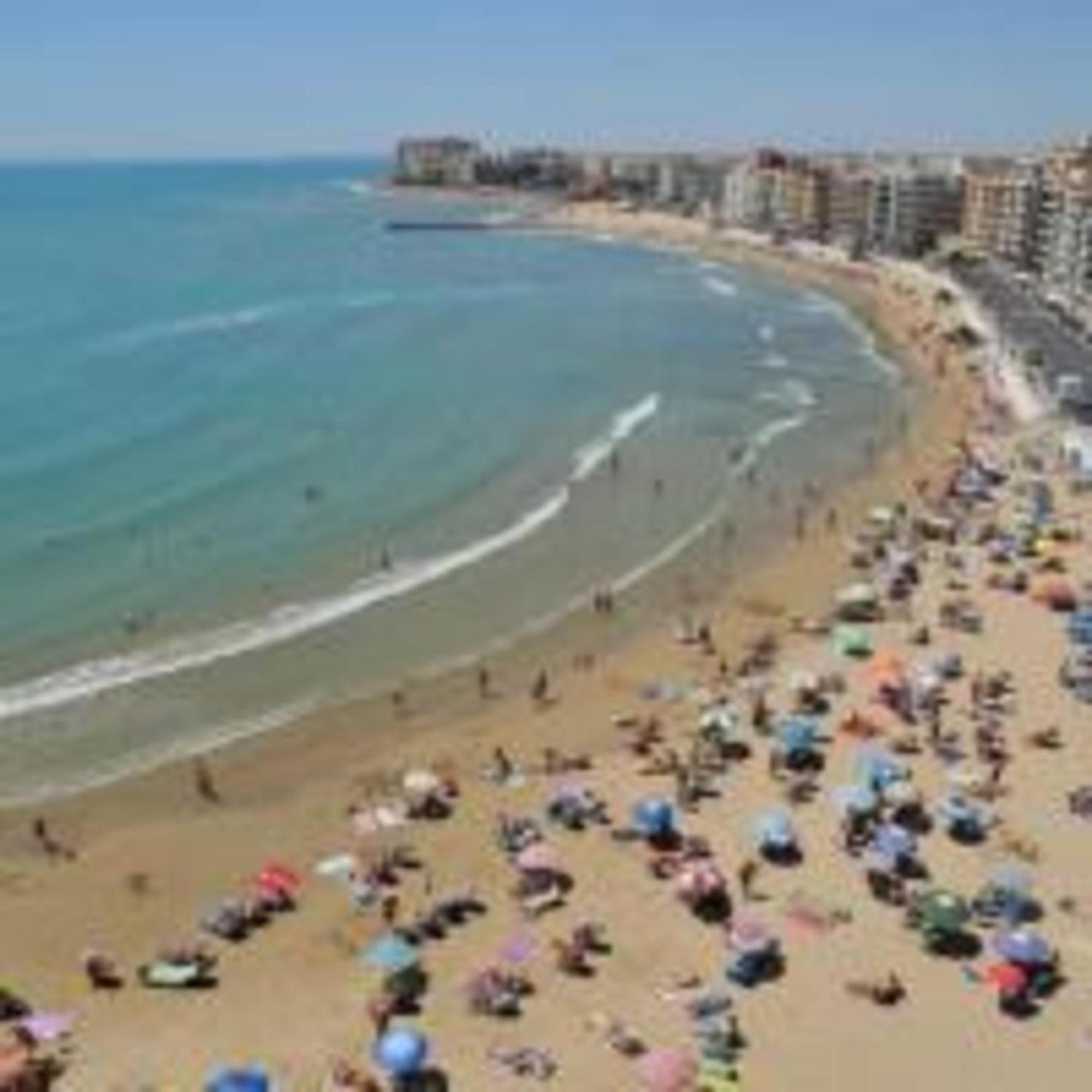 Pmt16 - Large City Apartment On The Beach Torrevieja Eksteriør bilde